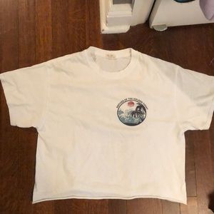 Brandy Melville cropped t-shirt